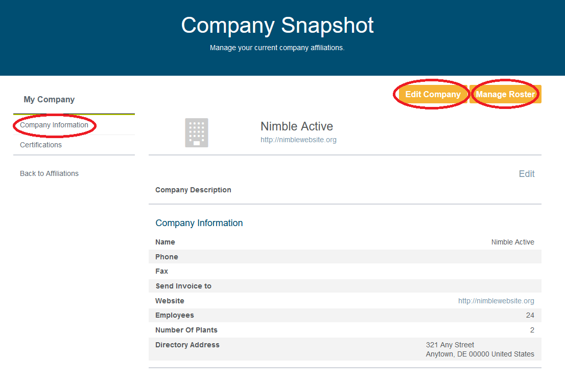 Screenshot: company information and address fields