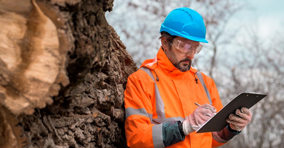Sustainable forestry