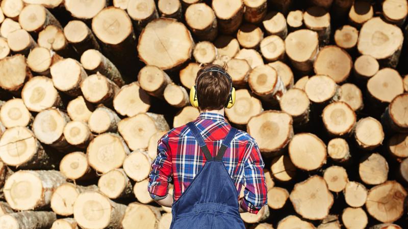 Environmental Stewardship Program