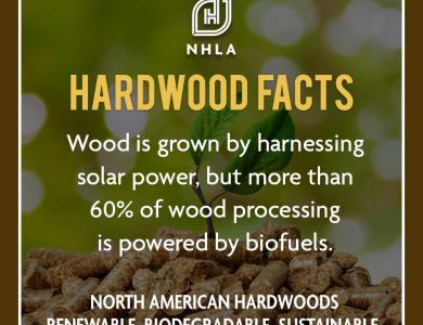 Facts about Hardwood