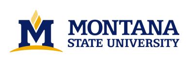 Montana State University