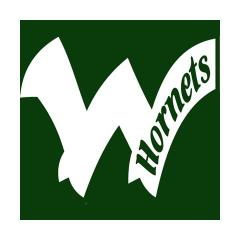 Wellsboro Area High School