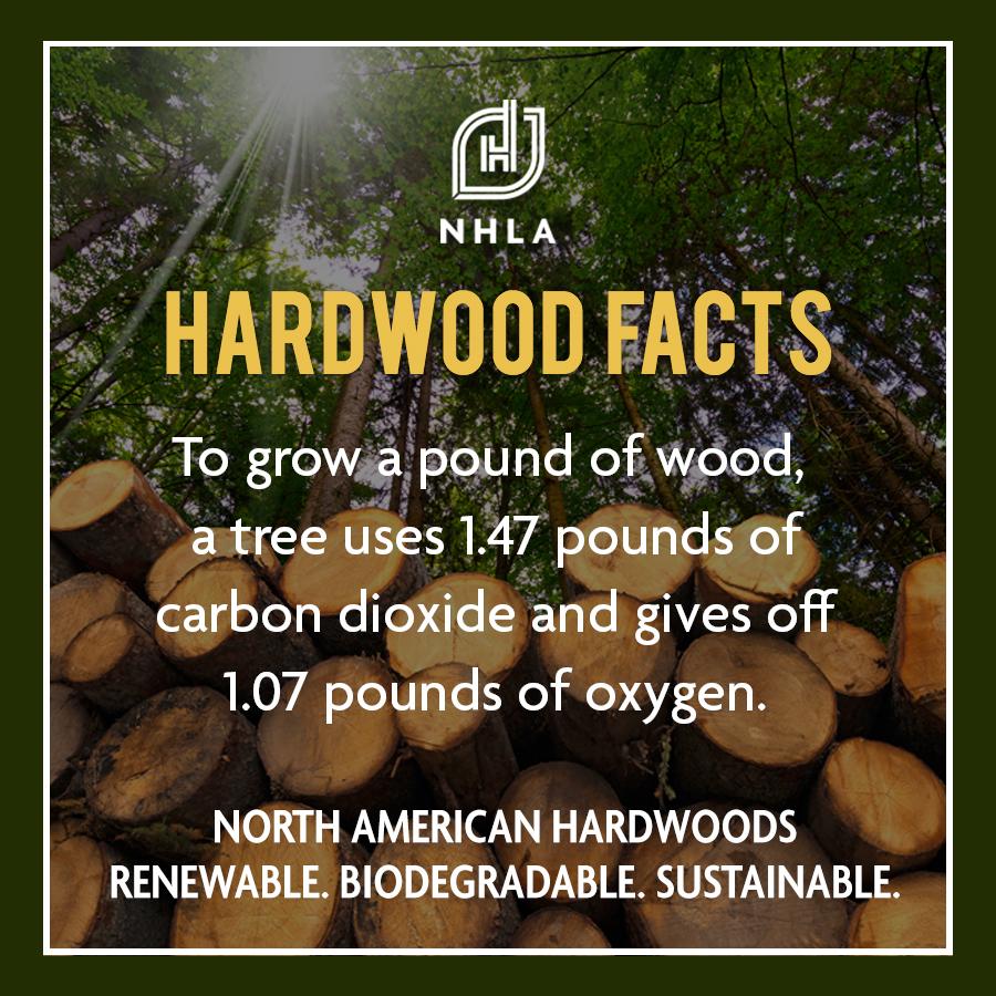 Facts about hardwood