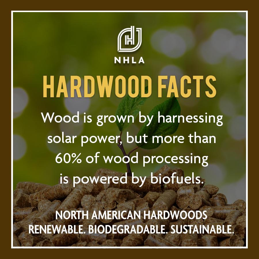 Facts about Hardwood